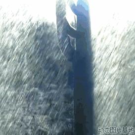 厦门 海棠的相关长尾关键词有哪些