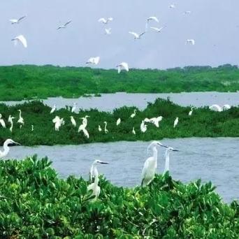 福建靠北是什么？