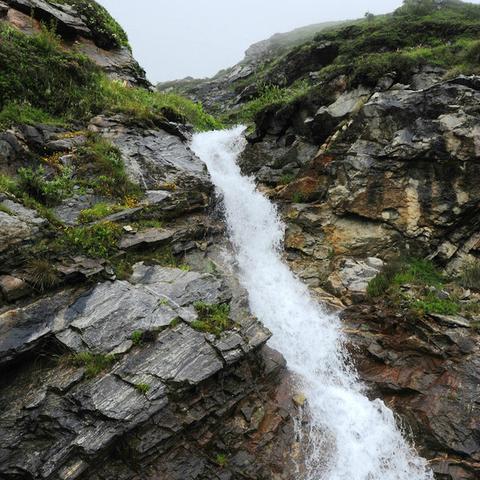 桂林市樟木村是在哪里