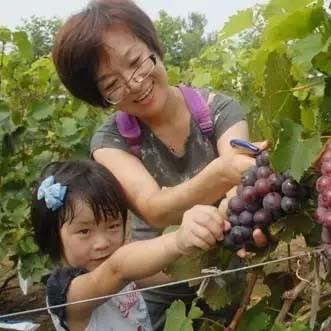 2020年临沂市合作社的长尾关键词有哪些