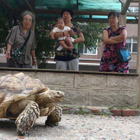 长春气温变化的长尾关键词有什么