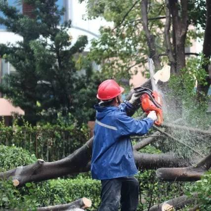 佛山市二手变压器转让的长尾关键词有哪些