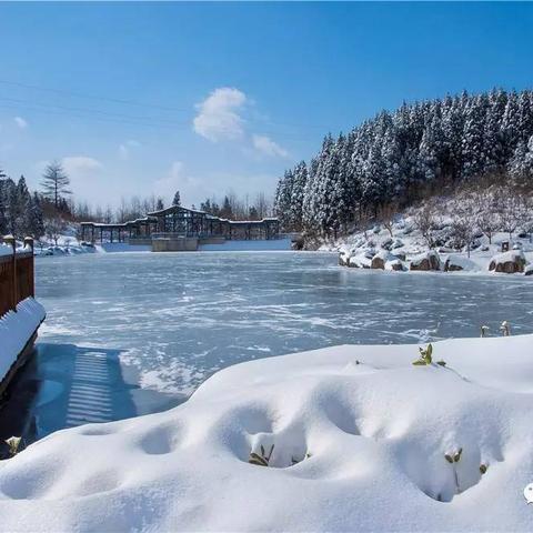 宁波代缴社保公司的长尾关键词有什么