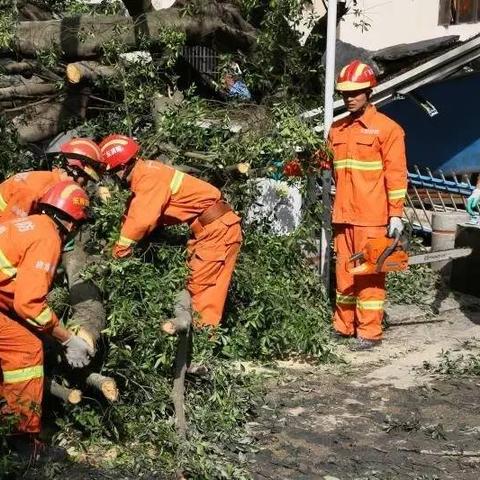 2025.11.13东莞今日气温变化情况