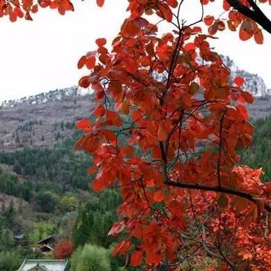 济南红叶谷有几个门？