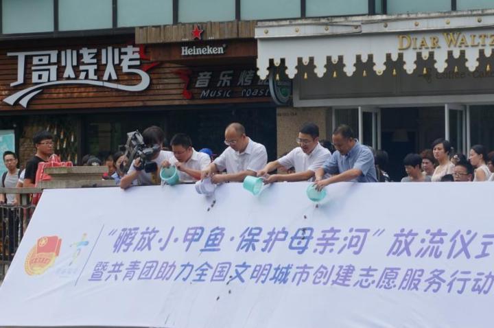 宝宝起名糖糖,给猫起个名字