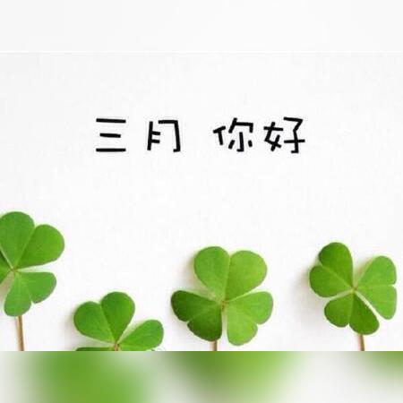 生肖兔未来十天运势(生肖兔未来十天运势及运程)