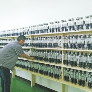 福建富氢杯的相关长尾关键词有哪些