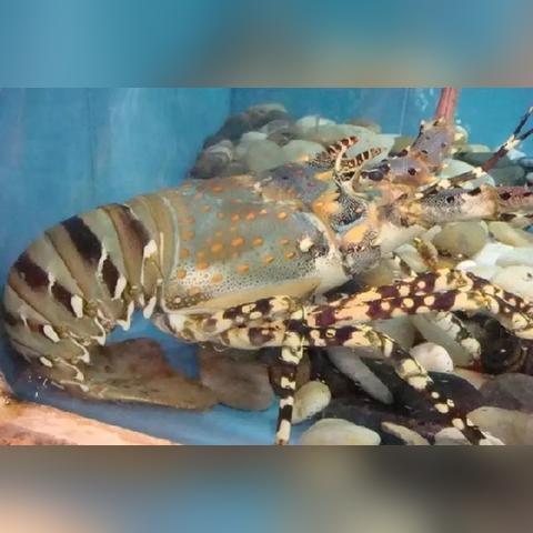 合肥市18000元市区房子与上海市18000元的郊区房子买哪个合算？为什么？