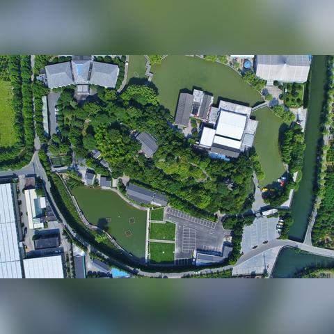 宁波无花果采摘的长尾关键词有什么