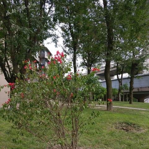 成都市价哪里好约