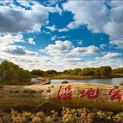 沈阳考公报班推荐相关长尾关键词有哪些