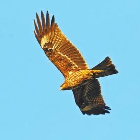 河南信阳淮滨地图的相关长尾关键词有哪些