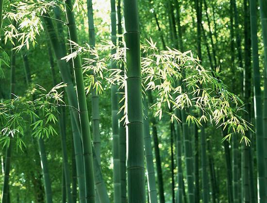 周公解梦,梦见与小孩共玩的深层寓意与心理分析 周公解梦,梦见与小孩共玩的深层寓意与心理分析