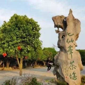 福建茶园旅游攻略？