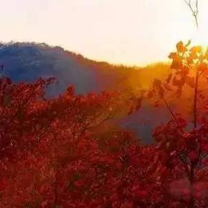 河南秋季旅游景点推荐？