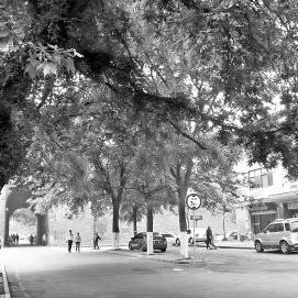 哈尔滨市太阳街是哪个区