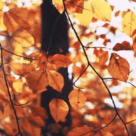 哈尔滨市和兰州市哪个好