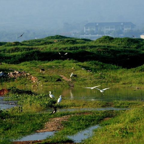 济南市中哪个水库有水