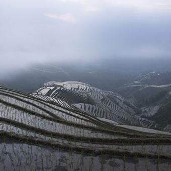 十一桂林市有什么活动