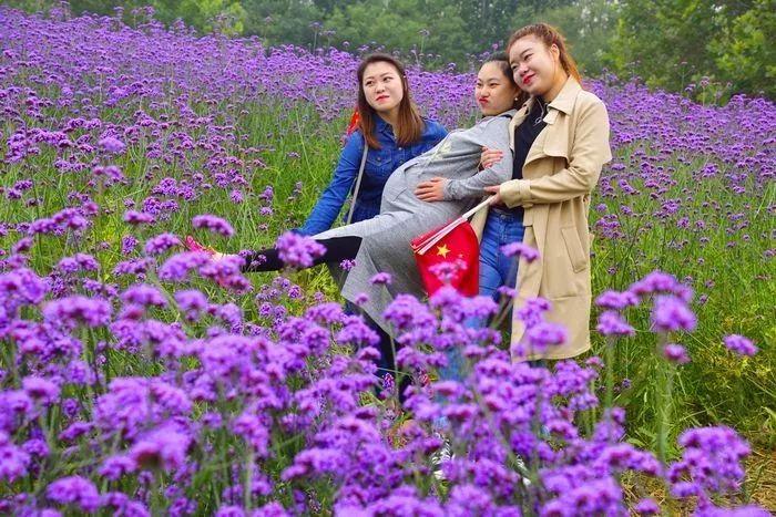 北京鲜花港电话,北京哪里的花品种最多?