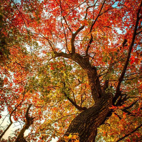 山东临沂市海拔多少千米的长尾关键词有什么