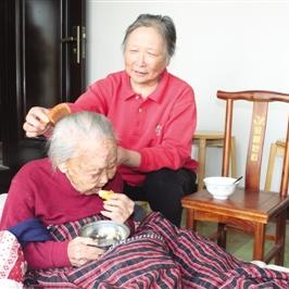 重阳节合肥市有什么活动