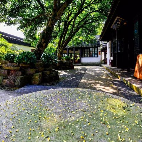 苏州市东山有什么好玩的