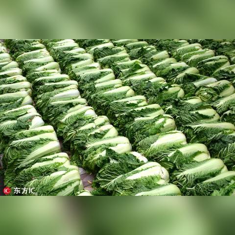 沈阳特信商贸有限公司相关长尾关键词有哪些