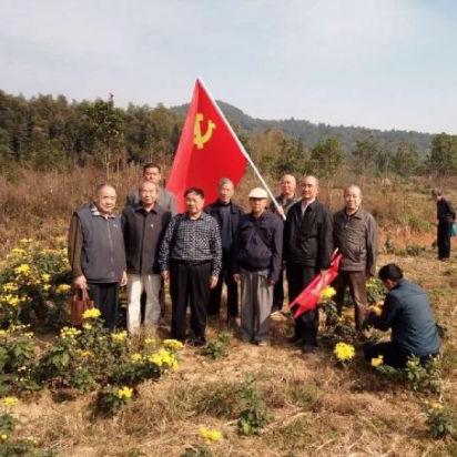河南郭葡萄的相关长尾关键词有哪些