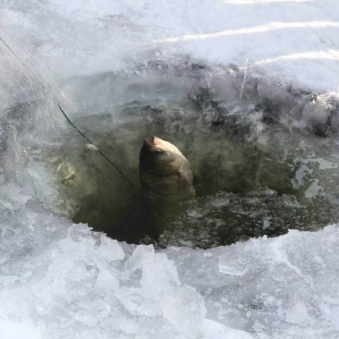伏尔加庄园位于哈尔滨市哪里