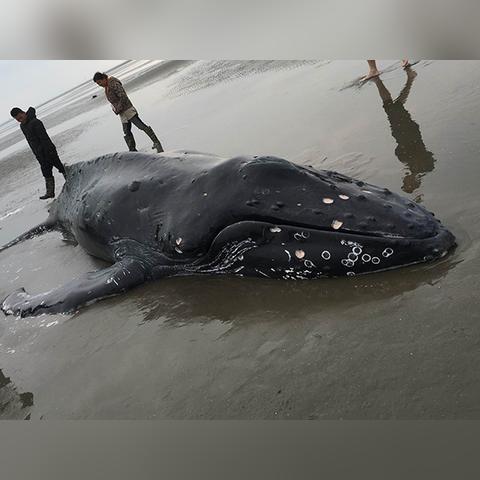 南通陈姓最多的地方长尾关键词有什么