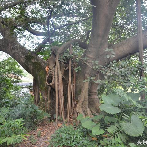 东莞市单身约会群在哪里