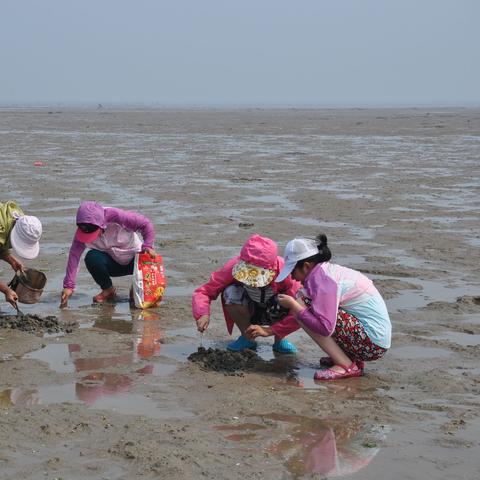 青岛10.1天气怎么样