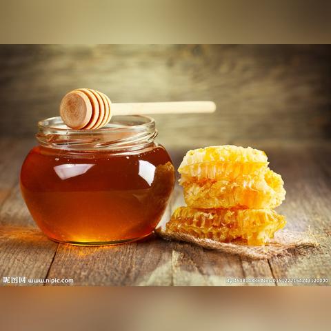 哈尔滨冬蜜梨树苗相关长尾关键词有哪些