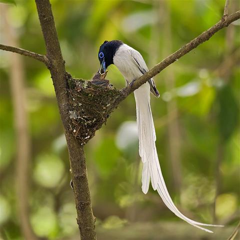 美的主要做什么产品的长尾关键词有什么