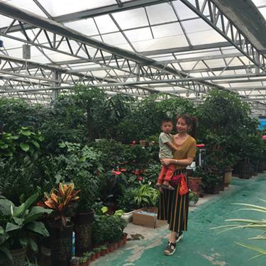 乌鲁木齐市城北新区发展如何？