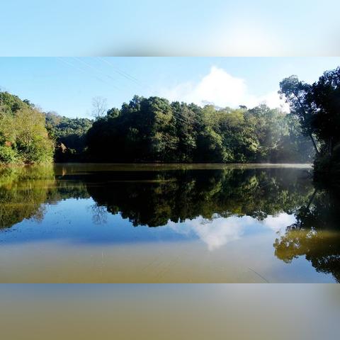 佛山市有哪些县城