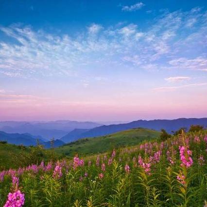 桂林洋高山村早餐相关长尾关键词有哪些
