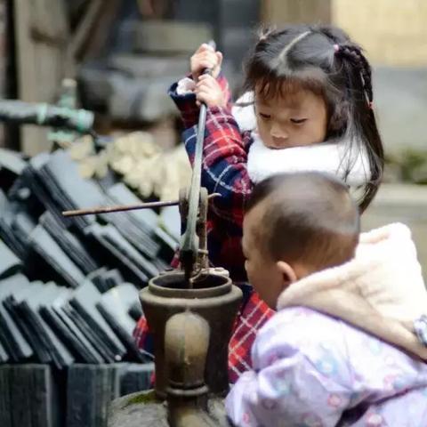 桂林市哪里有木头