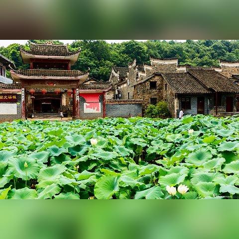 湖南郴州市有什么
