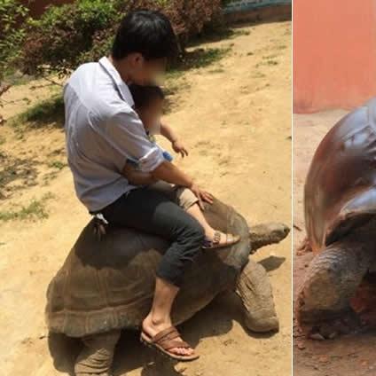 厦门市海沧职业中专学校学费多少？