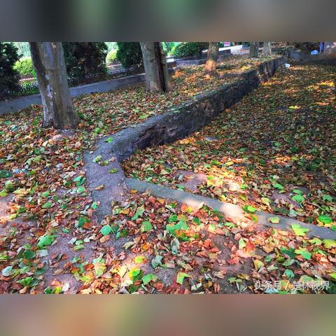 2025.11.19武汉今日气温变化情况