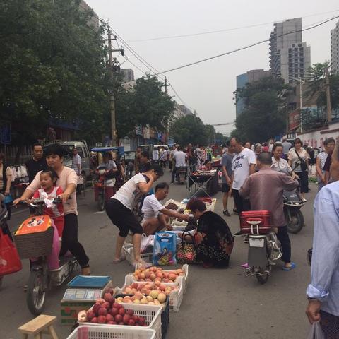 目前河南能种什么水果