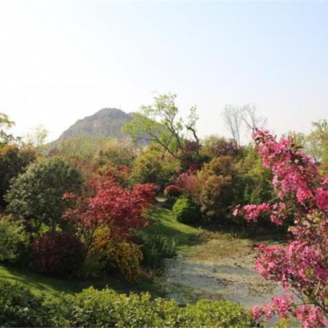 无锡市哪里野炊最多的