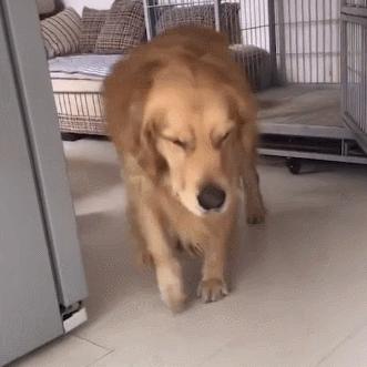 武汉光谷鸡蛋仔的长尾关键词有哪些