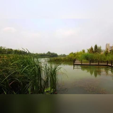 长沙市西湖公寓怎么样租