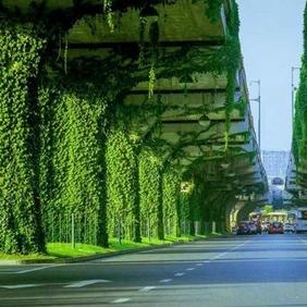 成都市区哪里风景漂亮 成都市区哪里风景漂亮