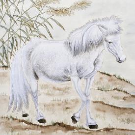 生肖牛每月日历运势表(牛各月运势如何)