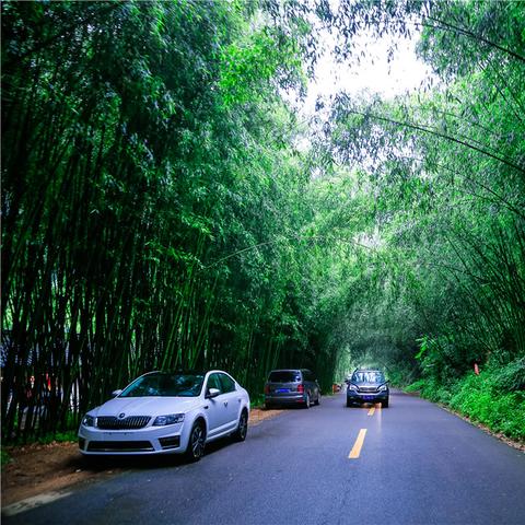 南宁江南的电影院的相关长尾关键词有哪些